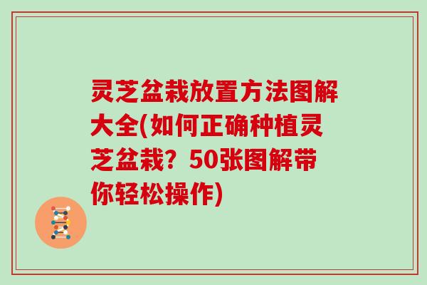 灵芝盆栽放置方法图解大全(如何正确种植灵芝盆栽?50张图解带你轻松操作)-第1张图片-灵芝大师 灵芝盆栽放置方法图解大全(如何正确种植灵芝盆栽?50张图解带你轻松操作)-第1张图片-灵芝大师