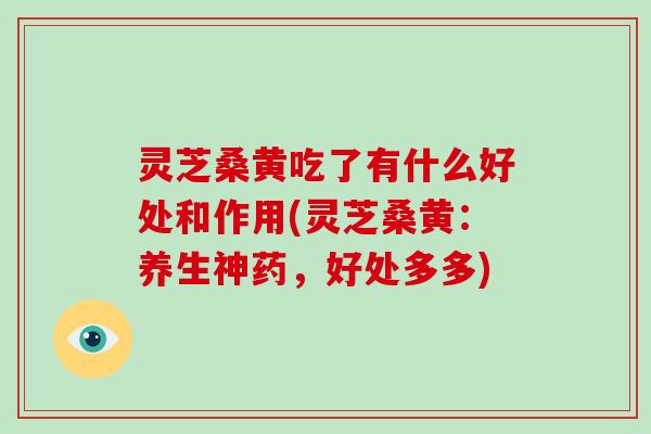 灵芝桑黄吃了有什么好处和作用(灵芝桑黄：养生神药，好处多多)