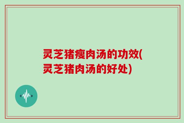 灵芝猪瘦肉汤的功效(灵芝猪肉汤的好处)