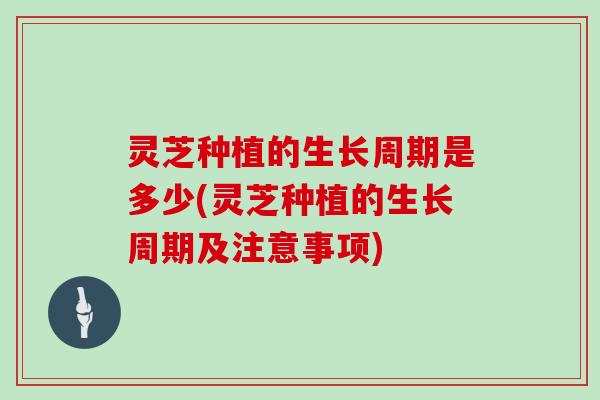 灵芝种植的生长周期是多少(灵芝种植的生长周期及注意事项)