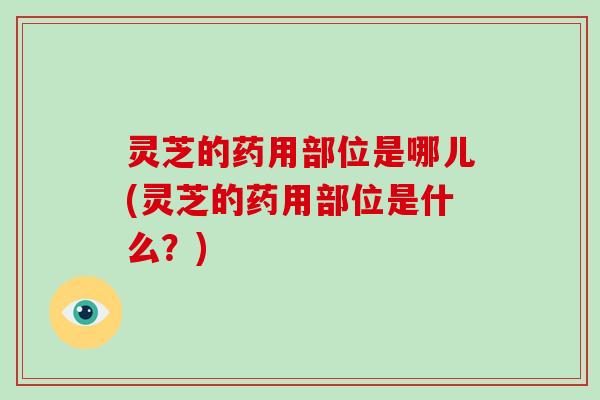 灵芝的药用部位是哪儿(灵芝的药用部位是什么？)