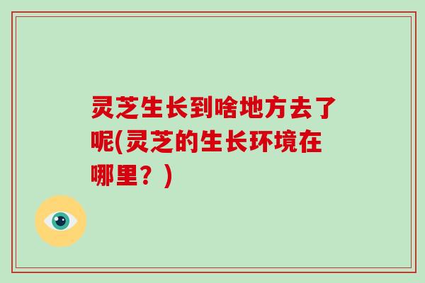 灵芝生长到啥地方去了呢(灵芝的生长环境在哪里？)