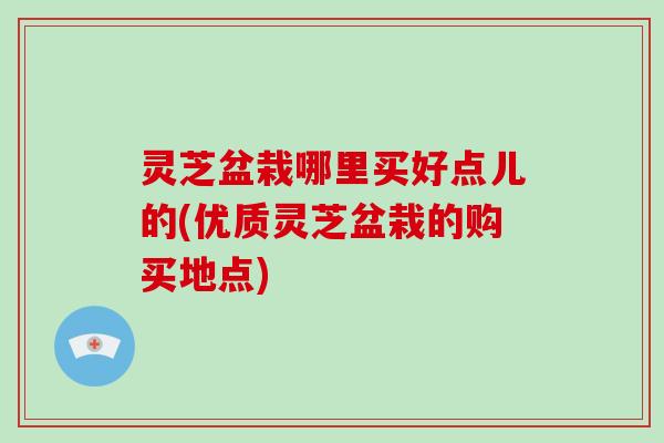 灵芝盆栽哪里买好点儿的(优质灵芝盆栽的购买地点)