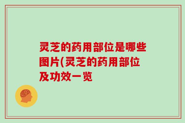 灵芝的药用部位是哪些图片(灵芝的药用部位及功效一览