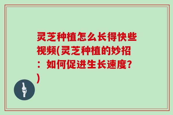 灵芝种植怎么长得快些视频(灵芝种植的妙招：如何促进生长速度？)