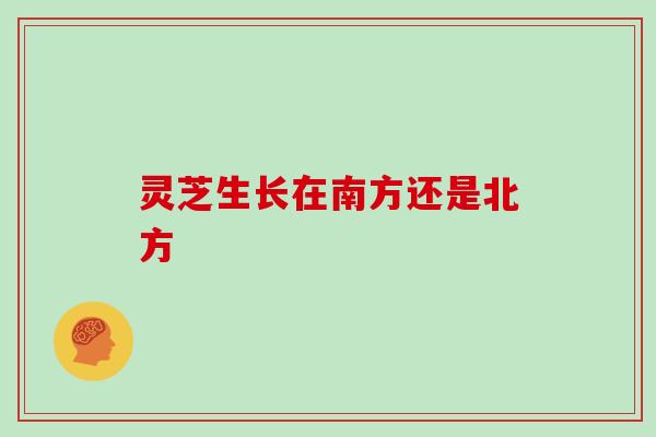 灵芝生长在南方还是北方