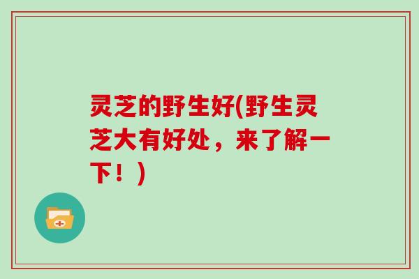 灵芝的野生好(野生灵芝大有好处，来了解一下！)