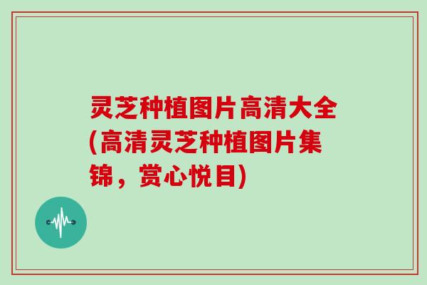 灵芝种植图片高清大全(高清灵芝种植图片集锦，赏心悦目)