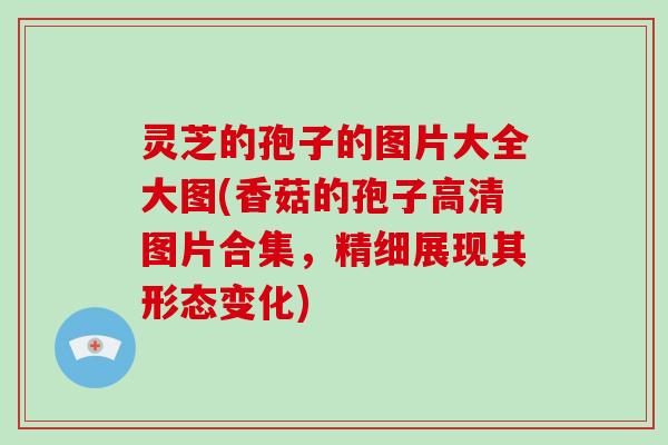 灵芝的孢子的图片大全大图(香菇的孢子高清图片合集，精细展现其形态变化)