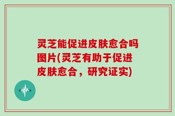 灵芝能促进皮肤愈合吗图片(灵芝有助于促进皮肤愈合，研究证实)
