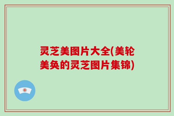 灵芝美图片大全(美轮美奂的灵芝图片集锦)