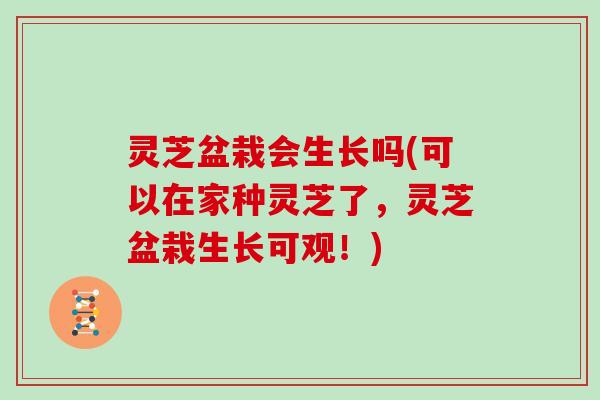 灵芝盆栽会生长吗(可以在家种灵芝了，灵芝盆栽生长可观！)