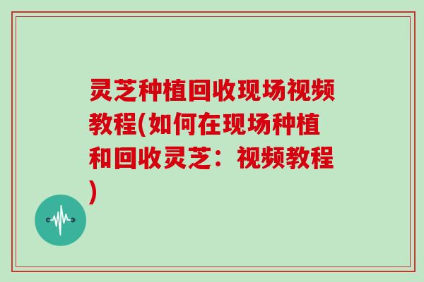灵芝种植回收现场视频教程(如何在现场种植和回收灵芝：视频教程)