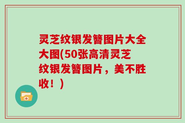灵芝纹银发簪图片大全大图(50张高清灵芝纹银发簪图片，美不胜收！)