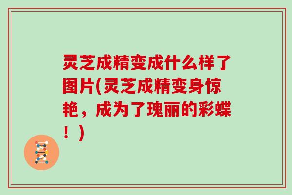 灵芝成精变成什么样了图片(灵芝成精变身惊艳，成为了瑰丽的彩蝶！)