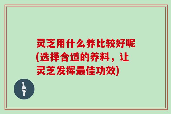 灵芝用什么养比较好呢(选择合适的养料，让灵芝发挥最佳功效)