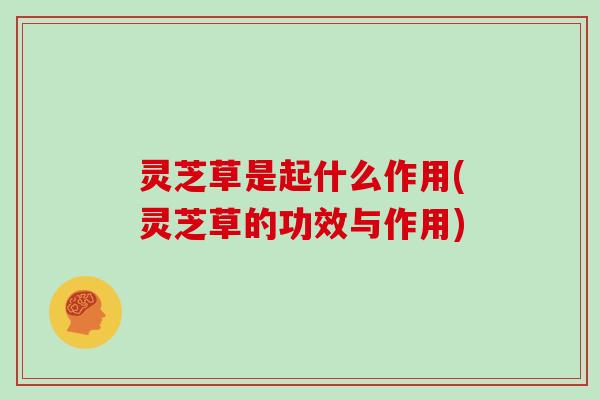 灵芝草是起什么作用(灵芝草的功效与作用)