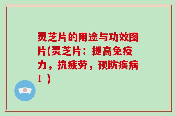 灵芝片的用途与功效图片(灵芝片：提高免疫力，抗疲劳，预防疾病！)