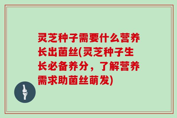 灵芝种子需要什么营养长出菌丝(灵芝种子生长必备养分，了解营养需求助菌丝萌发)