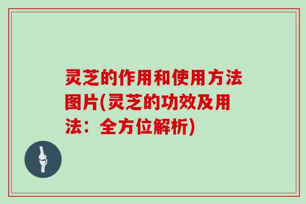 灵芝的作用和使用方法图片(灵芝的功效及用法：全方位解析)