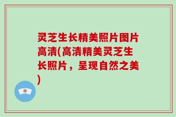 灵芝生长精美照片图片高清(高清精美灵芝生长照片，呈现自然之美)