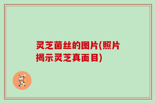 灵芝菌丝的图片(照片揭示灵芝真面目)