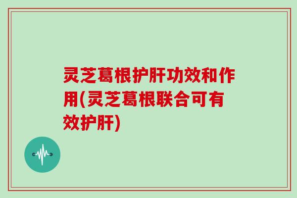 灵芝葛根护肝功效和作用(灵芝葛根联合可有效护肝)
