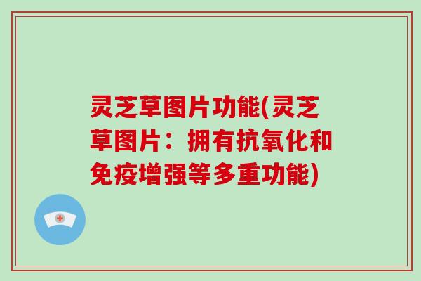 灵芝草图片功能(灵芝草图片：拥有抗氧化和免疫增强等多重功能)