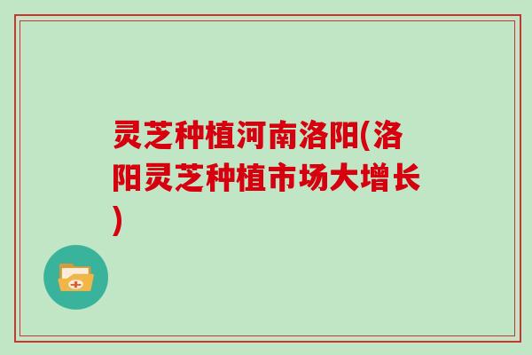 灵芝种植河南洛阳(洛阳灵芝种植市场大增长)