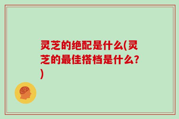 灵芝的绝配是什么(灵芝的最佳搭档是什么？)