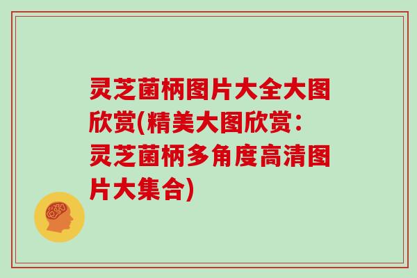 灵芝菌柄图片大全大图欣赏(精美大图欣赏：灵芝菌柄多角度高清图片大集合)