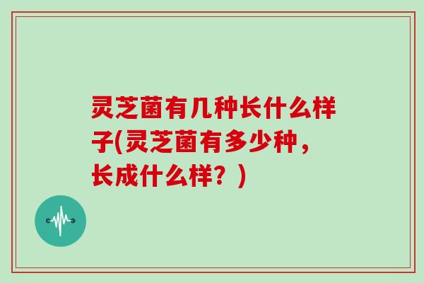 灵芝菌有几种长什么样子(灵芝菌有多少种，长成什么样？)