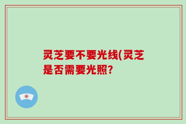 灵芝要不要光线(灵芝是否需要光照？