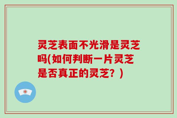 灵芝表面不光滑是灵芝吗(如何判断一片灵芝是否真正的灵芝？)