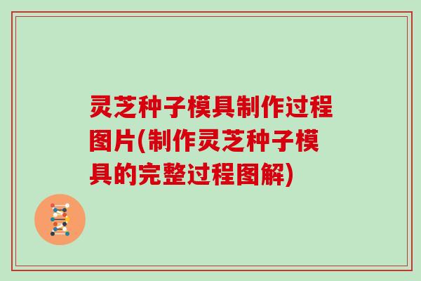 灵芝种子模具制作过程图片(制作灵芝种子模具的完整过程图解)