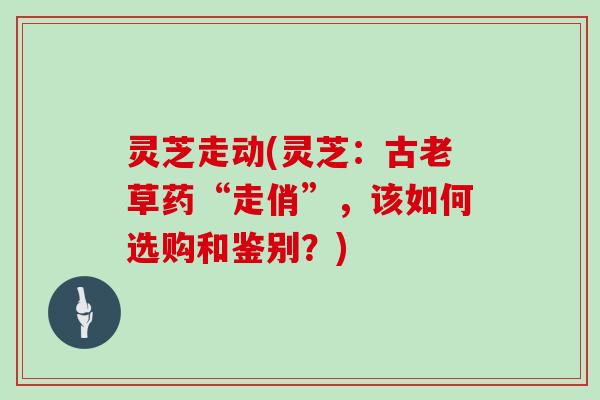 灵芝走动(灵芝：古老草药“走俏”，该如何选购和鉴别？)