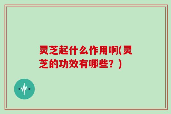 灵芝起什么作用啊(灵芝的功效有哪些？)