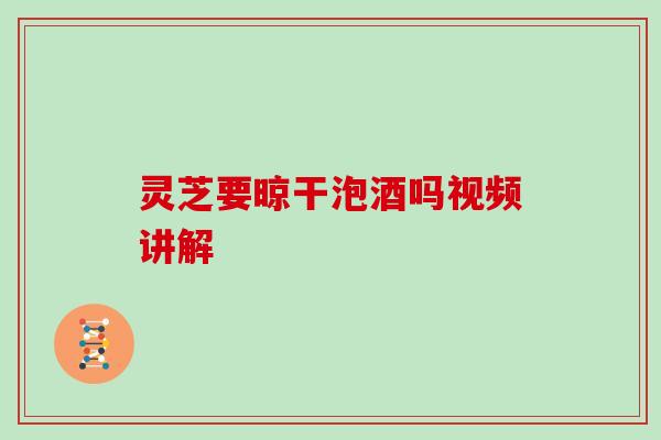 灵芝要晾干泡酒吗视频讲解