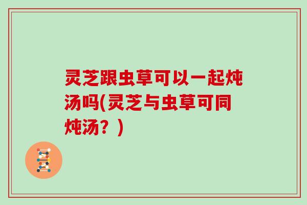 灵芝跟虫草可以一起炖汤吗(灵芝与虫草可同炖汤？)
