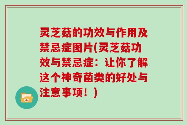 灵芝菇的功效与作用及禁忌症图片(灵芝菇功效与禁忌症：让你了解这个神奇菌类的好处与注意事项！)
