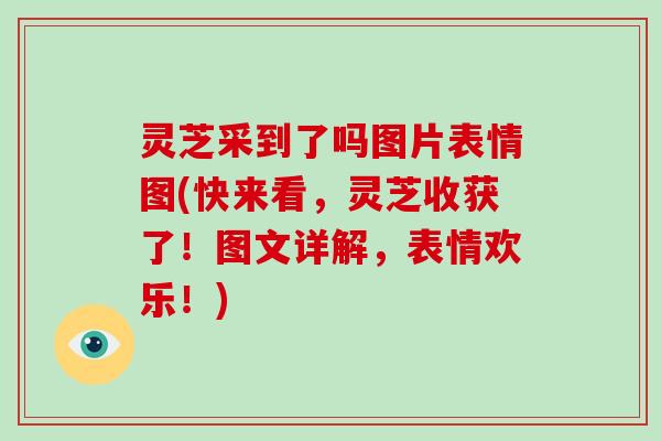 灵芝采到了吗图片表情图(快来看，灵芝收获了！图文详解，表情欢乐！)