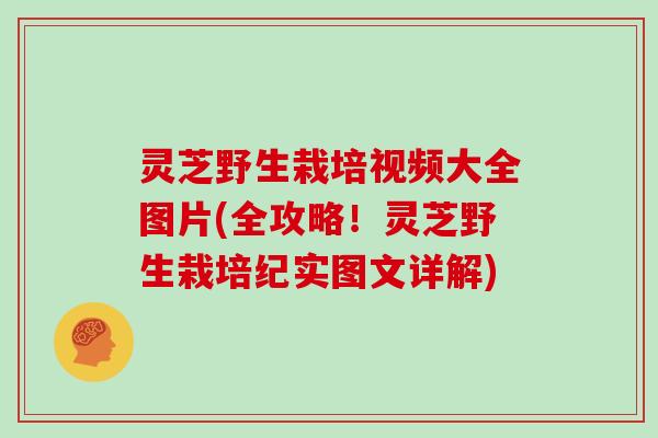 灵芝野生栽培视频大全图片(全攻略！灵芝野生栽培纪实图文详解)