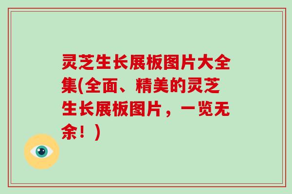 灵芝生长展板图片大全集(全面、精美的灵芝生长展板图片，一览无余！)