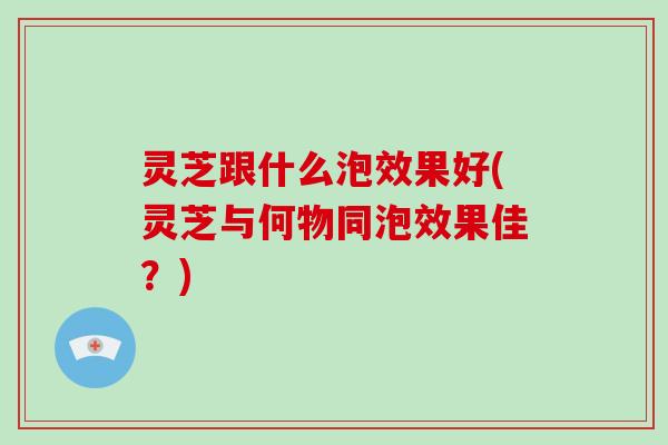 灵芝跟什么泡效果好(灵芝与何物同泡效果佳？)