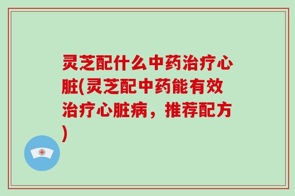 灵芝配什么中药治疗心脏(灵芝配中药能有效治疗心脏病，推荐配方)