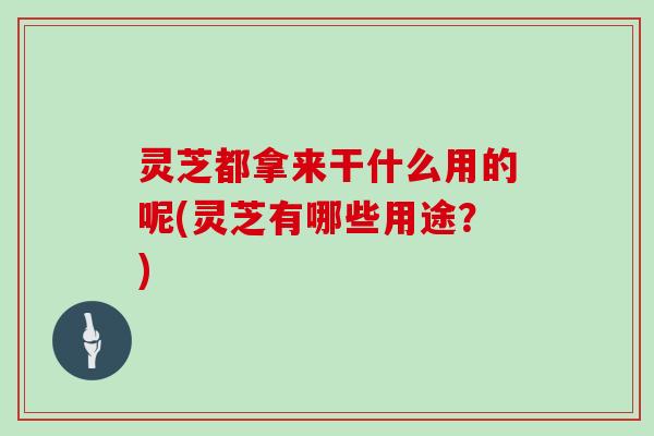 灵芝都拿来干什么用的呢(灵芝有哪些用途？)