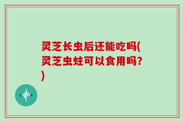 灵芝长虫后还能吃吗(灵芝虫蛀可以食用吗？)