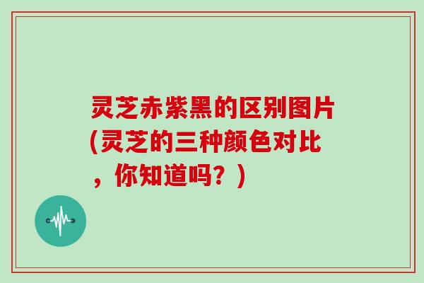 灵芝赤紫黑的区别图片(灵芝的三种颜色对比，你知道吗？)