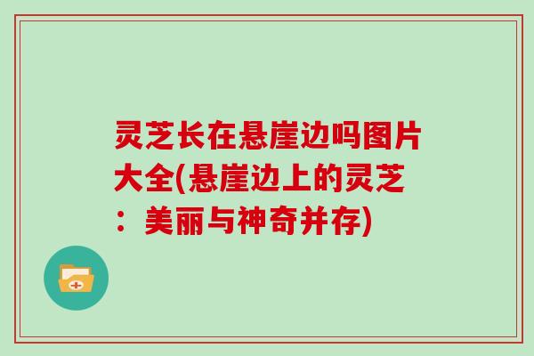 灵芝长在悬崖边吗图片大全(悬崖边上的灵芝：美丽与神奇并存)