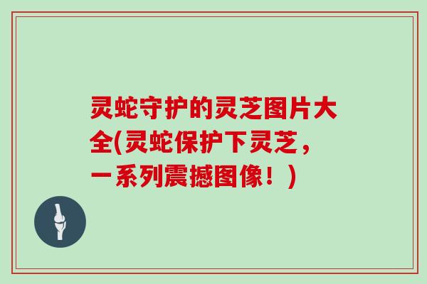 灵蛇守护的灵芝图片大全(灵蛇保护下灵芝，一系列震撼图像！)